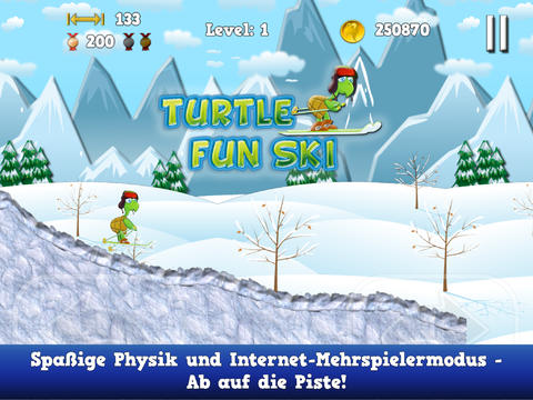 Turtle Fun Ski